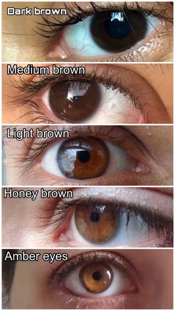 Anya Chalotra Eye Is Dark Brown In Color: Everything On Her Parents And Ethnicity