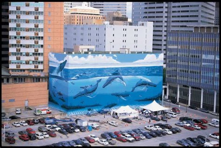 How Much Is Robert Wyland Net Worth? More On The Artist