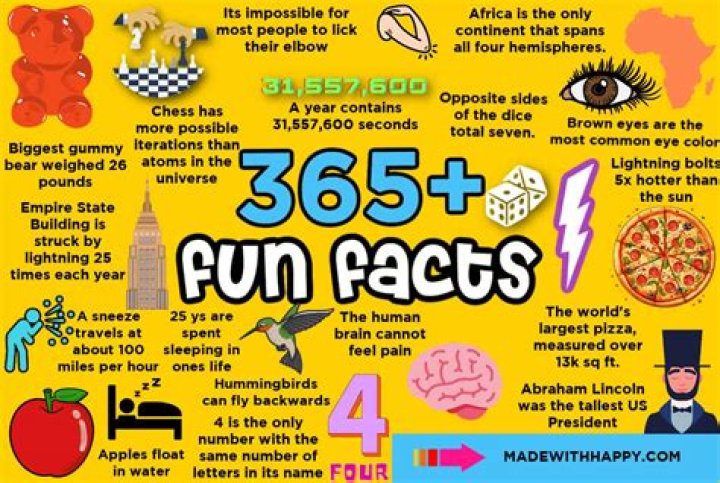 Mark Anastasio Net Worth: 5 Interesting Facts You Should Know