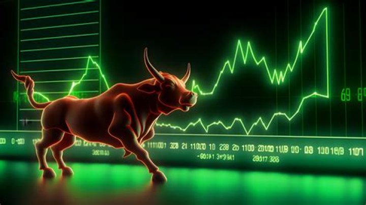 Photos: Is Hemant Shah Big Bull Real? Stock Broker Story -Details To Know