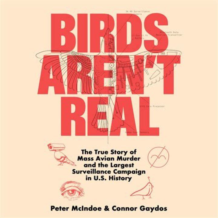 Who Is “Birds Aren’t Real” Founder Peter McIndoe And Where Is He From? Know About His Family Origin
